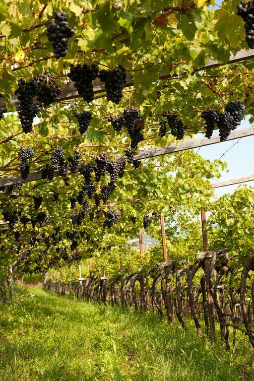 Apartamento Haus Dorfblick Caldaro sulla Strada del Vino Exterior foto
